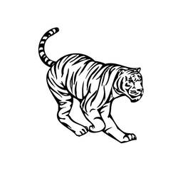 Раскраска: Tigris (Животные) #13611 - Бесплатные раскраски для печати