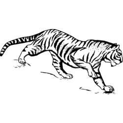 Раскраска: Tigris (Животные) #13613 - Бесплатные раскраски для печати