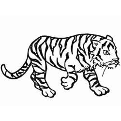 Раскраска: Tigris (Животные) #13629 - Бесплатные раскраски для печати