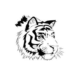Раскраска: Tigris (Животные) #13631 - Бесплатные раскраски для печати