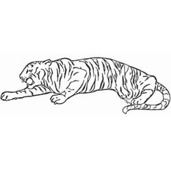 Раскраска: Tigris (Животные) #13637 - Бесплатные раскраски для печати