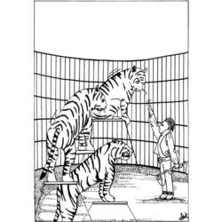 Раскраска: Tigris (Животные) #13646 - Бесплатные раскраски для печати