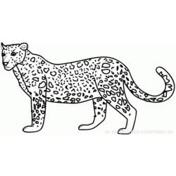 Раскраска: Tigris (Животные) #13649 - Бесплатные раскраски для печати