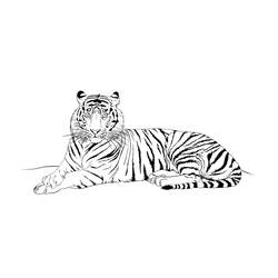 Раскраска: Tigris (Животные) #13676 - Бесплатные раскраски для печати