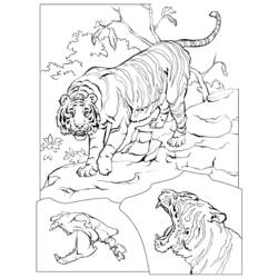 Раскраска: Tigris (Животные) #13683 - Бесплатные раскраски для печати