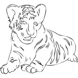 Раскраска: Tigris (Животные) #13701 - Бесплатные раскраски для печати