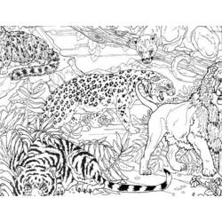 Раскраска: Tigris (Животные) #13711 - Бесплатные раскраски для печати