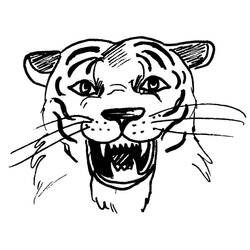 Раскраска: Tigris (Животные) #13716 - Бесплатные раскраски для печати