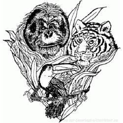 Раскраска: Tigris (Животные) #13756 - Бесплатные раскраски для печати