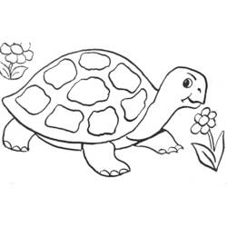 Раскраска: черепаха (Животные) #13391 - Бесплатные раскраски для печати