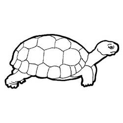 Раскраска: черепаха (Животные) #13394 - Бесплатные раскраски для печати