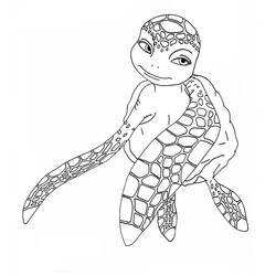 Раскраска: черепаха (Животные) #13395 - Бесплатные раскраски для печати