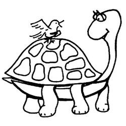 Раскраска: черепаха (Животные) #13404 - Бесплатные раскраски для печати