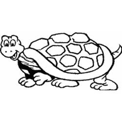 Раскраска: черепаха (Животные) #13406 - Бесплатные раскраски для печати