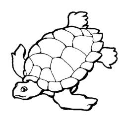 Раскраска: черепаха (Животные) #13412 - Бесплатные раскраски для печати