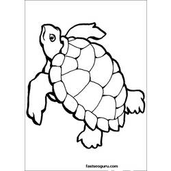 Раскраска: черепаха (Животные) #13429 - Бесплатные раскраски для печати