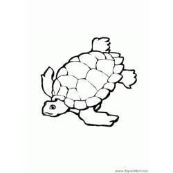 Раскраска: черепаха (Животные) #13433 - Бесплатные раскраски для печати