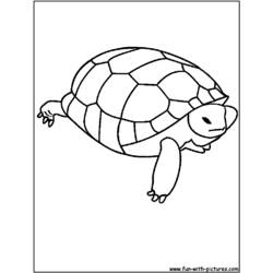 Раскраска: черепаха (Животные) #13436 - Бесплатные раскраски для печати