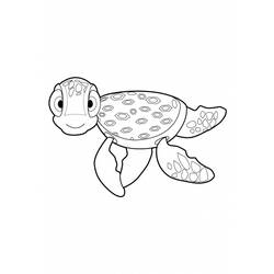 Раскраска: черепаха (Животные) #13455 - Бесплатные раскраски для печати