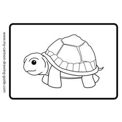 Раскраска: черепаха (Животные) #13466 - Бесплатные раскраски для печати