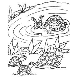 Раскраска: черепаха (Животные) #13468 - Бесплатные раскраски для печати