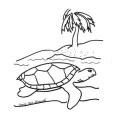 Раскраска: черепаха (Животные) #13469 - Бесплатные раскраски для печати