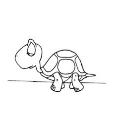 Раскраска: черепаха (Животные) #13490 - Бесплатные раскраски для печати