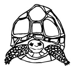 Раскраска: черепаха (Животные) #13510 - Бесплатные раскраски для печати