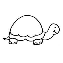 Раскраски: черепаха - Бесплатные раскраски для печати