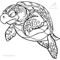Раскраска: черепаха (Животные) #13536 - Бесплатные раскраски для печати