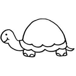 Раскраска: черепаха (Животные) #13569 - Бесплатные раскраски для печати