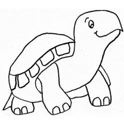 Раскраска: черепаха (Животные) #13580 - Бесплатные раскраски для печати