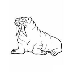 Раскраска: морж (Животные) #16473 - Бесплатные раскраски для печати