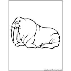 Раскраска: морж (Животные) #16477 - Бесплатные раскраски для печати