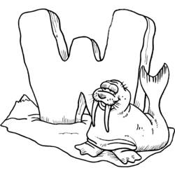 Раскраска: морж (Животные) #16489 - Бесплатные раскраски для печати