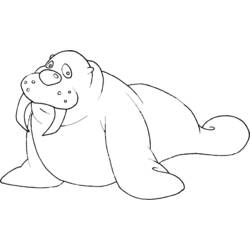 Раскраска: морж (Животные) #16507 - Бесплатные раскраски для печати