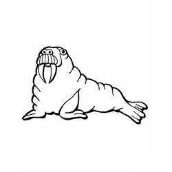 Раскраска: морж (Животные) #16530 - Бесплатные раскраски для печати