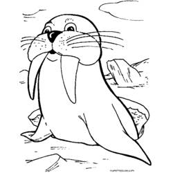 Раскраска: морж (Животные) #16612 - Бесплатные раскраски для печати