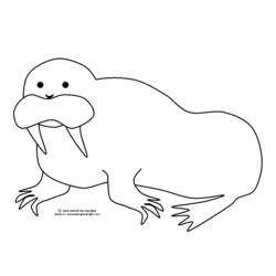 Раскраска: морж (Животные) #16653 - Бесплатные раскраски для печати