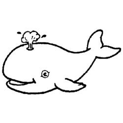 Раскраска: кит (Животные) #875 - Бесплатные раскраски для печати