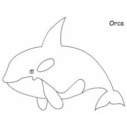 Раскраска: кит (Животные) #891 - Бесплатные раскраски для печати