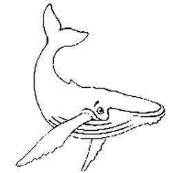 Раскраска: кит (Животные) #894 - Бесплатные раскраски для печати