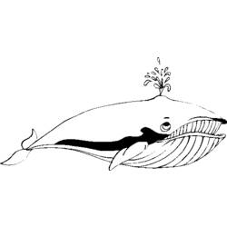 Раскраска: кит (Животные) #904 - Бесплатные раскраски для печати