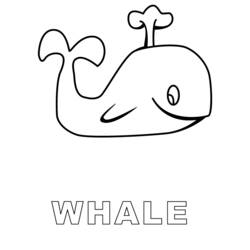 Раскраска: кит (Животные) #905 - Бесплатные раскраски для печати