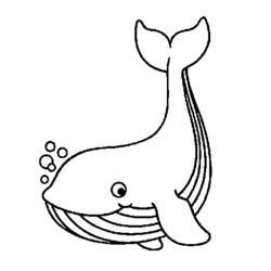 Раскраски: кит - Бесплатные раскраски для печати