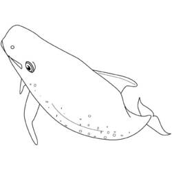 Раскраска: кит (Животные) #930 - Бесплатные раскраски для печати