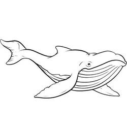 Раскраска: кит (Животные) #934 - Бесплатные раскраски для печати