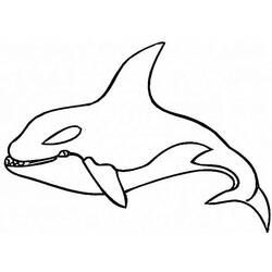 Раскраска: кит (Животные) #941 - Бесплатные раскраски для печати