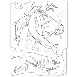 Раскраска: кит (Животные) #961 - Бесплатные раскраски для печати