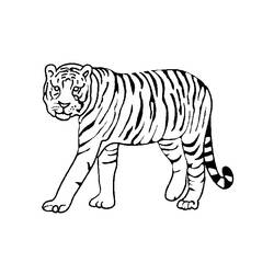Раскраска: Дикие животные / джунгли (Животные) #21092 - Бесплатные раскраски для печати